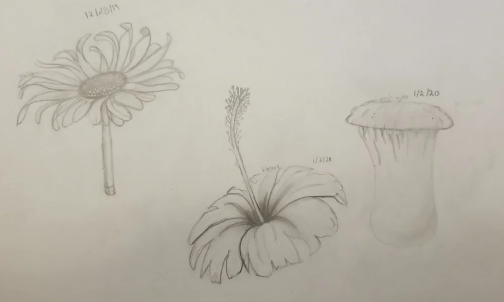 Matt Holztrager Biography